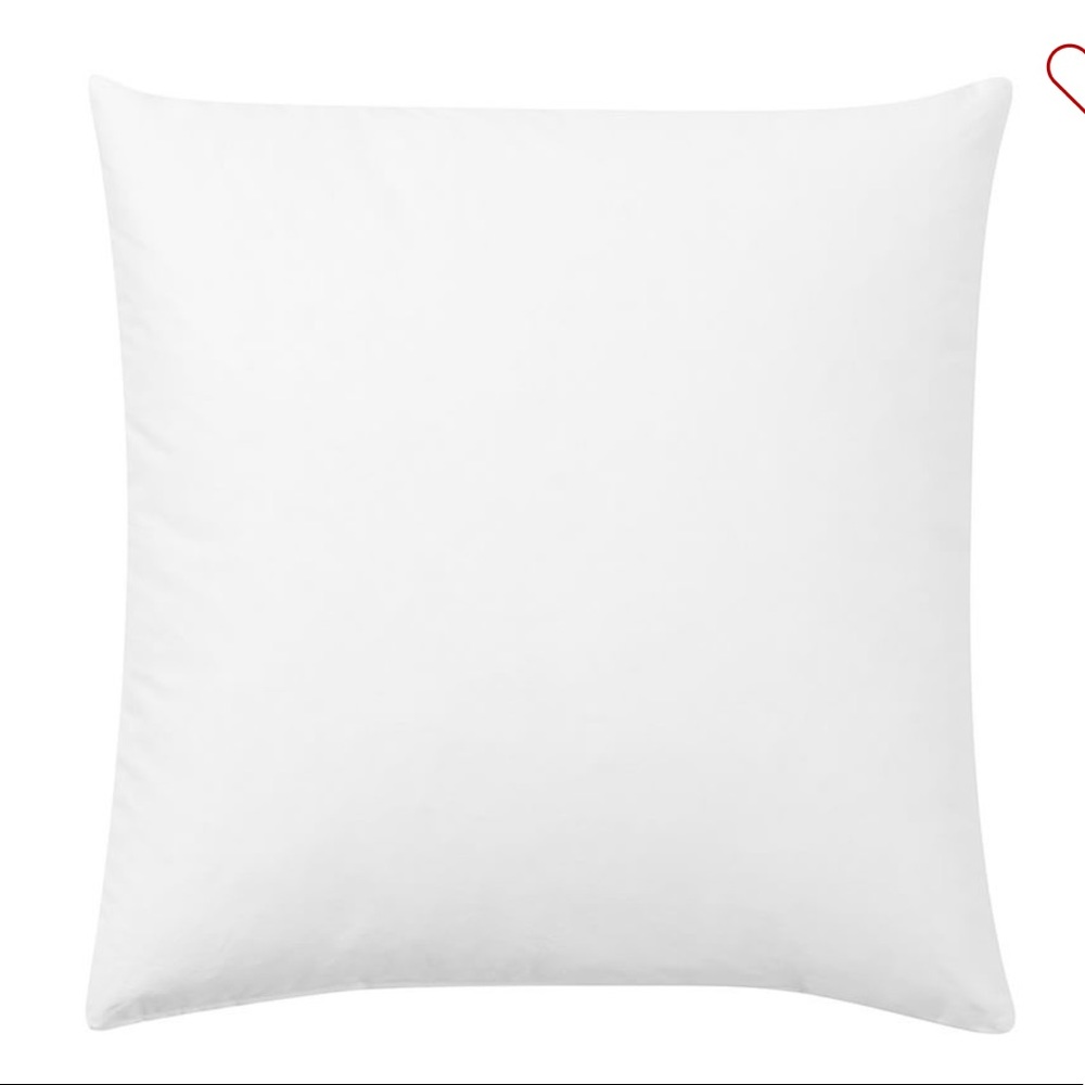Pottery Barn Down Feather Pillow Insert (20x20)